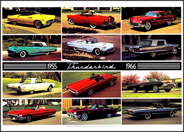 Ford Thunderbird 1955-1966 Poster