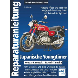 Youngtimer aus Japan - Reparaturbuch
