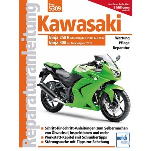 Kawasaki Ninja 250 R (2008-2012) 300 (ab 2013) - Reparaturbuch