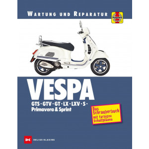 Vespa GTS, GTV, GT, LX, LXV, S, Primavera & Sprint - Reparaturbuch