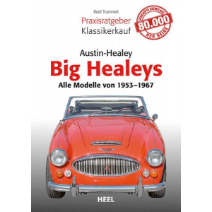 Praxisratgeber Klassikerkauf Austin Healey