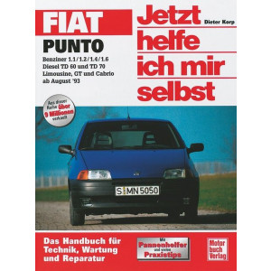 Fiat Punto Reparaturbuch