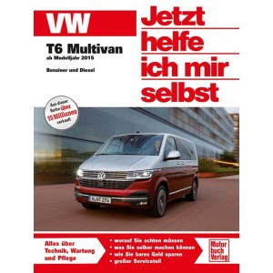 VW T6 Reparaturbuch