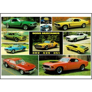 Ford Boss Mustang 302 351 429 Poster