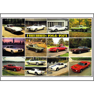 Ford Firebird Poster