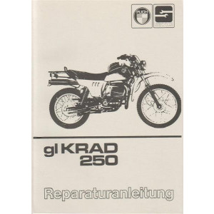 Rotax 250 ccm Drehschiebermotor Reparaturanleitung