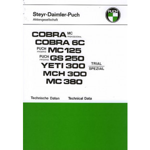 Puch MC 125, GS 250 (Frigerio), Yeti 300 Trial Spezial, MC 380 (Rotax)