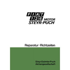 Fiat 126 mit Puch-Motor Reparatur-Richtzeiten