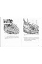 Garelli 353 ERKY 50. 354 RZKY 50, 374 CRKY 100 Motoren Reparaturanleitung